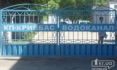 В Кривом Роге 4 дня затапливает частное домовладение