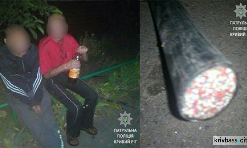 Горе-воры: в Кривом Роге двое мужчин словили "на горячем"