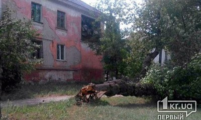 В Металлургическом районе повалило дерево