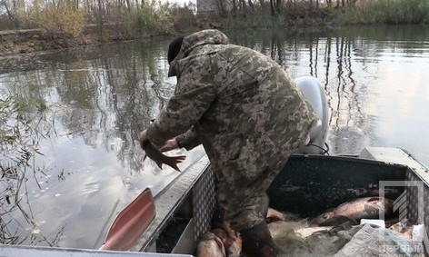 В браконьерских сетях на Южном водохранилище обнаружили более 150 кг рыбы