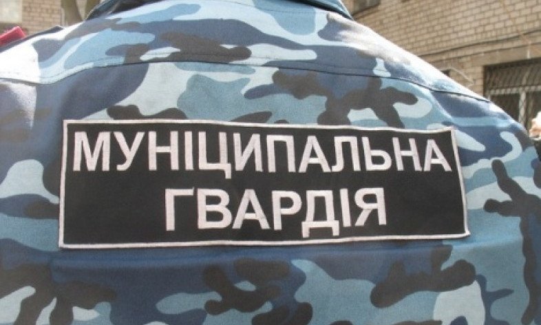 Кто на самом деле поддержал петицию в поддержку "Муниципальной гвардии"?