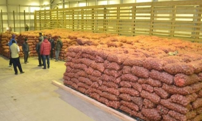 Большая часть нового украинского урожая гниет