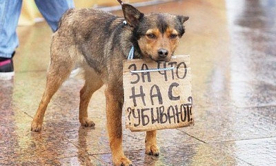 Криворожане присоединятся к акции "Украина против живодеров"