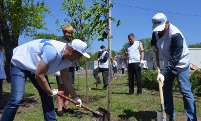 На озеленение модульного городка в Кривом Роге потратили 100 тысяч