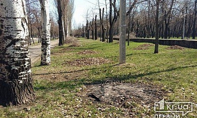 Когда в криворожском парке будет чисто? 