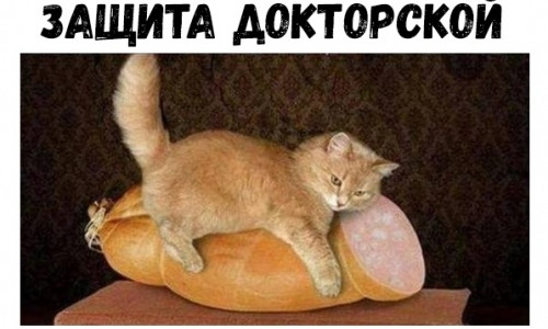 Кому звонят пьяные экстрасенсы? Традиционная подборка позитива