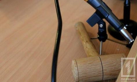 Криворожского предпринимателя отдадут под суд за хищение бюджетных средств, выделенных на ремонт детсада
