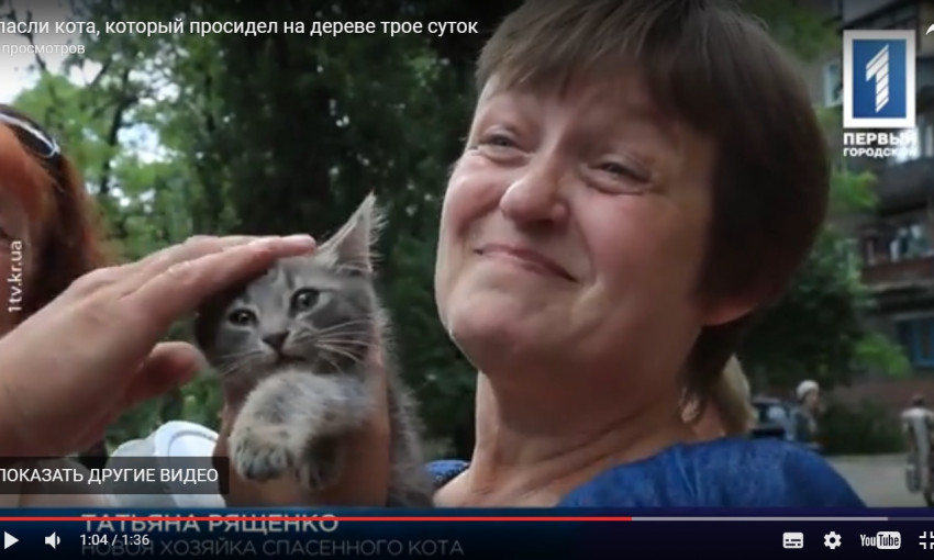 В Кривом Роге спасли кота, который просидел на дереве трое суток