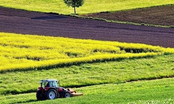 В Украине приняли закон о рынке земли (ФОТО)