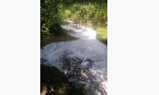 В киевскую реку, которая впадает в Днепр, сливают неизвестное вещество: водоем покрылся пеной (ВИДЕО)