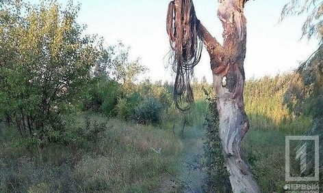 В Кривом Роге "на горячем" поймали расхитителей кабеля