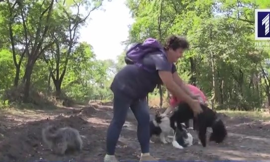 В Кривом Роге создают площадку для выгула собак