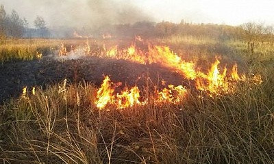 Внимание! На Днепропетровщине объявлен самый высокий уровень пожароопасности