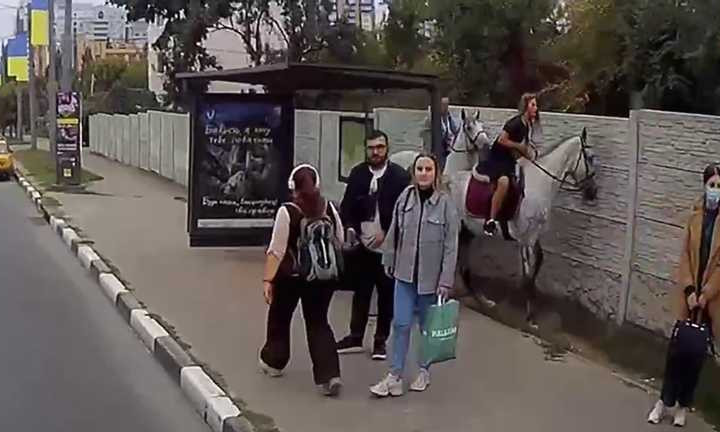 Конь разбил стеклянную остановку в Харькове: курьезное видео