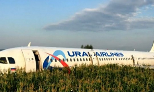 "Ту самую кукурузу" в России продавали по баснословной цене