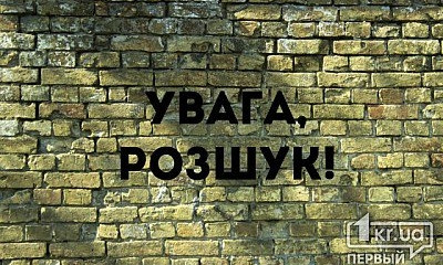 В Кривом Роге создают группу волонтеров для поиска пропавших людей