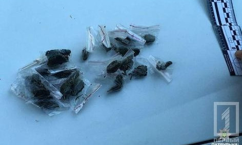 У криворожанина патрульные нашли 20 пакетиков с "травкой"
