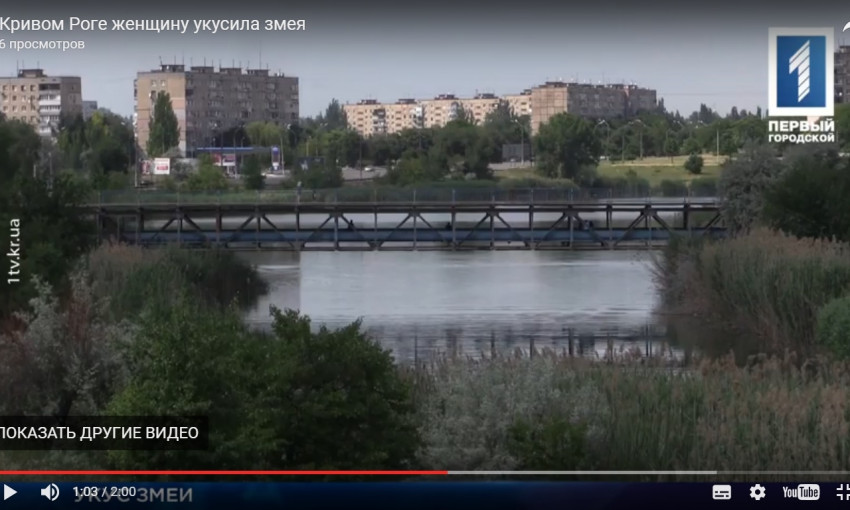 Будьте осторожны! В Кривом Роге женщину укусила змея