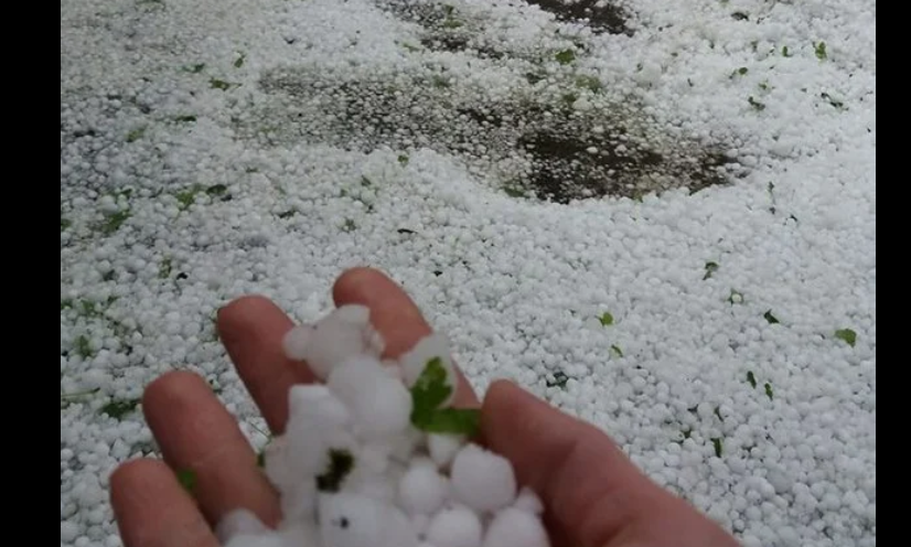 Во Львовской области заснежило в начале лета (ФОТО)