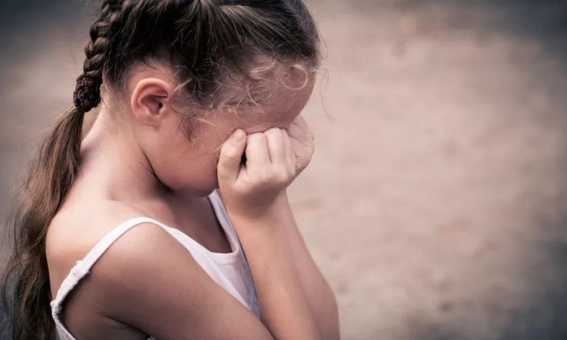 В Кривом Роге на 13 лет посадили мужчину, который насиловал своих малолетних падчериц
