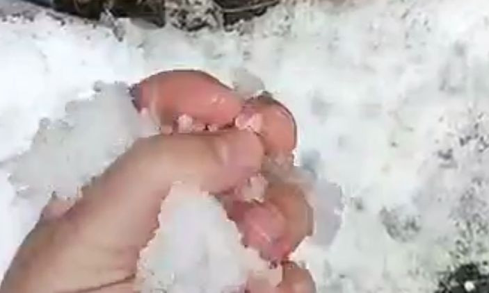 На календаре второй день лета, а в Украине идет снег (ФОТО, ВИДЕО)