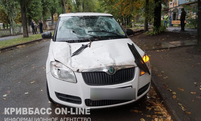 В Кривом Роге из-за непогоды пострадали два автомобиля