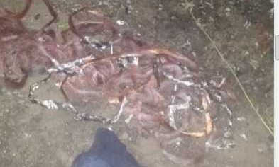 Житель Кривого Рога в ожидании суда продолжал воровать