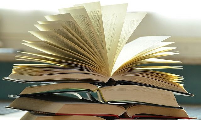Языковой конфликт: скандал в школе Ивано-Франковска (ФОТО) 
