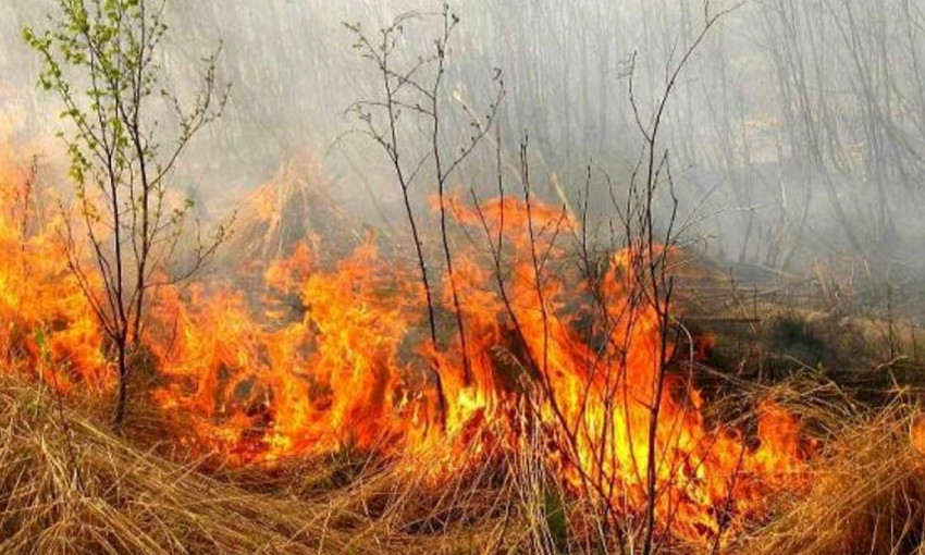 В Украине резко увеличили штрафы за поджог сухой травы: штраф до 153 000 гривен и уголовная ответственность