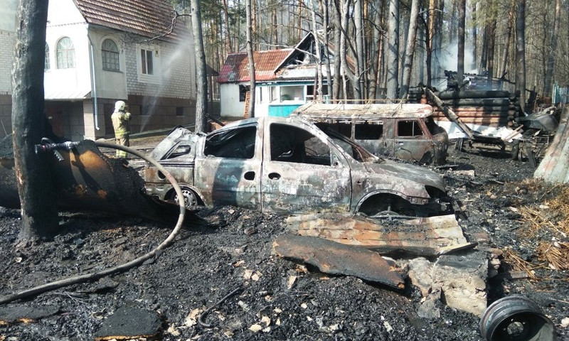 На Житомирщине погибли супруги, сжигавшие траву возле своего дома