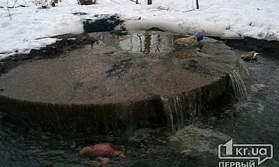 В реку Саксагань текут канализационные воды