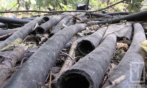 В парке Кривого Рога нашли "тайное место" "черных металлистов"