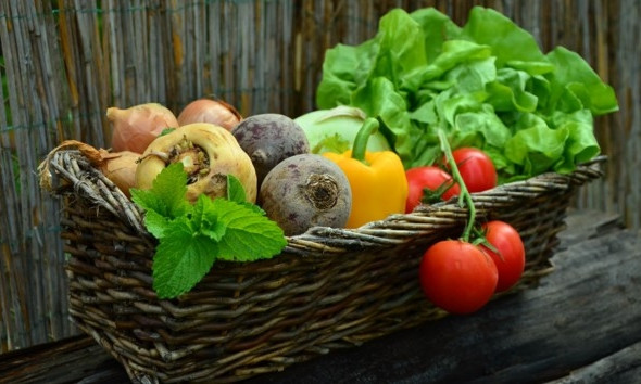 Делаем запасы на зиму: какие продукты выгодно взять именно сейчас, а с какими лучше повременить