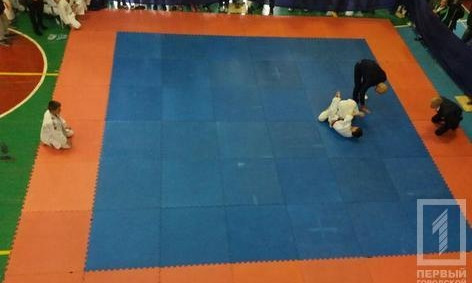 В Кривом Роге стартовал Чемпионат Украины по джиу-джитсу