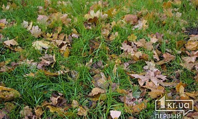 Криворожанам напоминают о штрафах за сжигание сухих листьев