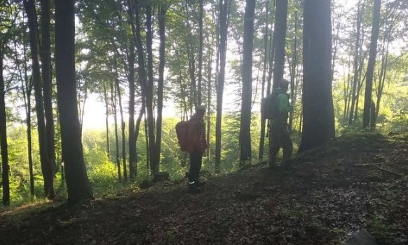 Дети, потерявшиеся в лесу на Закарпатье, найдены (ФОТО)