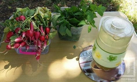 "Городской огород" дал первый урожай