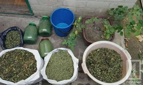 В селе под Кривым Рогом полиция изъяла "травки" на полмиллиона гривен
