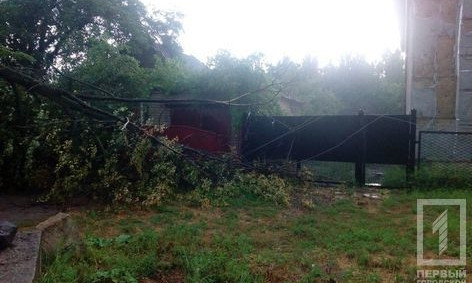 В Покровском районе Кривого Рога сухостой упал на линию электропередачи