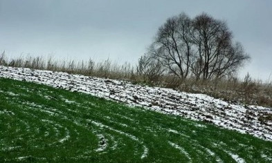 Похолодание на Криворожье на урожае зерновых не отразится