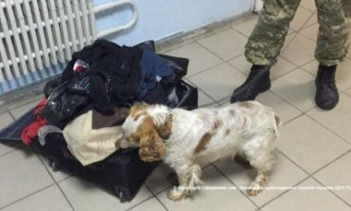 Криворожанин пытался провести 3 кг наркотиков в парафине