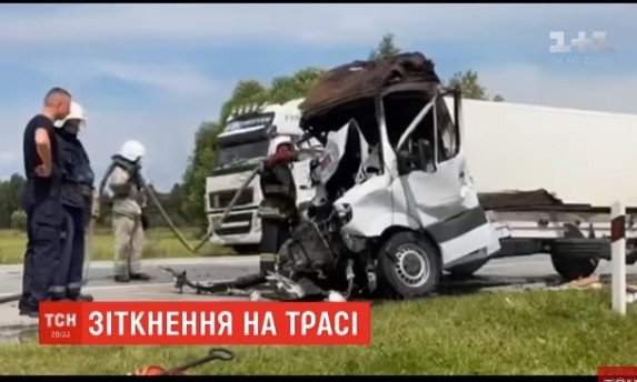 Аист на трассе под Львовом спровоцировал масштабное ДТП с пострадавшими (ФОТО, ВИДЕО)