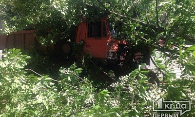 В Кривом Роге грузовик слетел с дороги и снес дерево