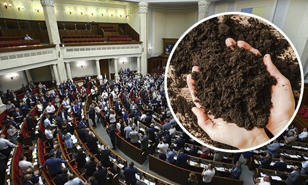 Рынок земли: сколько будет стоить один гектар 