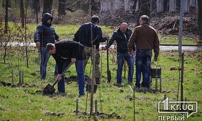 В Кривом Роге высадили деревья в память о погибших бойцах АТО