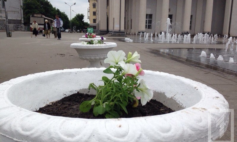 На почтовом проспекте появились клумбы-правоохранители