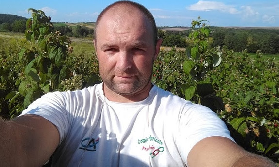 Українець запрошує до себе безкоштовно назбирати малини