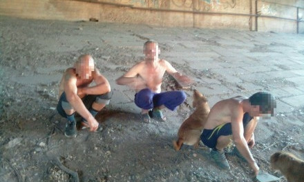 В Кривом Роге злоумышленники разбирали мост по частям