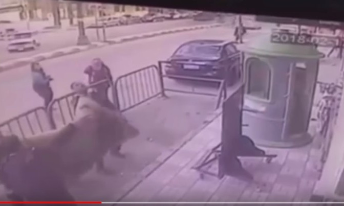 Це диво. Поліцейський врятував дитину, яка випала з вікна третього поверху (відео)