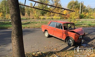 В Кривом Роге легковушка влетела в дерево, водитель в тяжелом состоянии